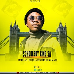 uploaded_audio image