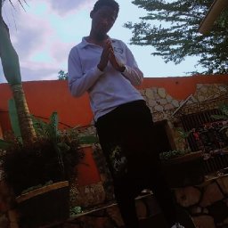 uploaded_audio image