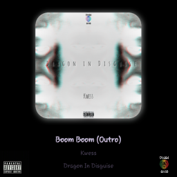 uploaded_audio image