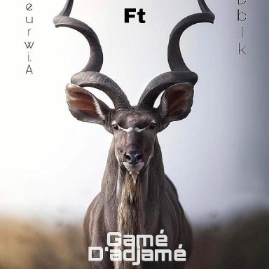 Gam&eacute; d'adjam&eacute;