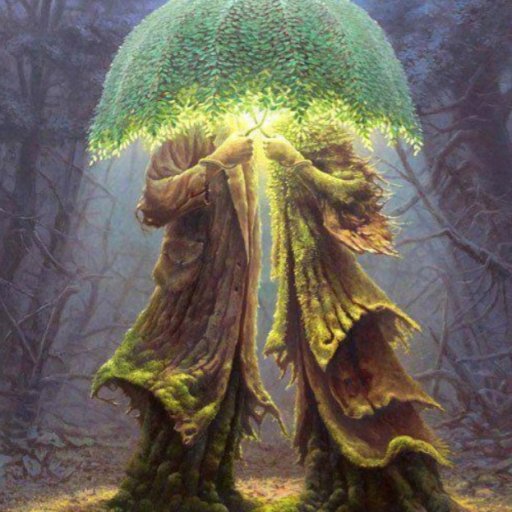 Before...mohammadjavad