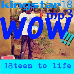 uploaded_audio image