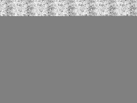 YounG wiz&ordm;-Whistle Emergency. (Main Mix)