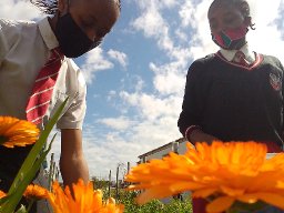 Amagama Amathathu [Feat. Malcomxo]