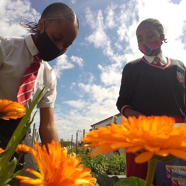 Amagama Amathathu [Feat. Malcomxo]