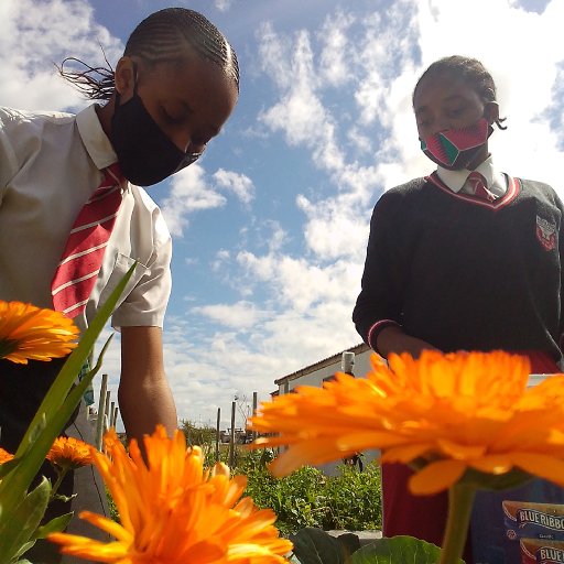 Amagama Amathathu [Feat. Malcomxo]