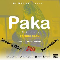 Paka - Bizzy_ (Official audio 2022)