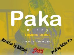 Paka - Bizzy_ (Official audio 2022)