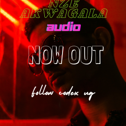 uploaded_audio image