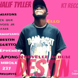 uploaded_audio image