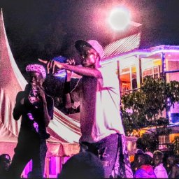 uploaded_audio image