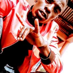 uploaded_audio image