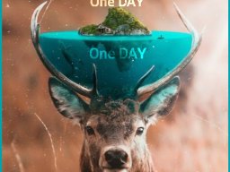 One day