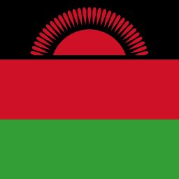 uploaded_audio image