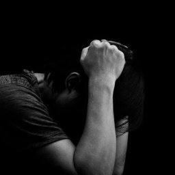 uploaded_audio image