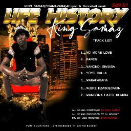 uploaded_audio image