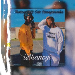 uploaded_audio image