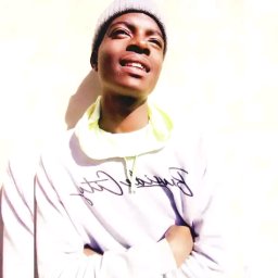 uploaded_audio image