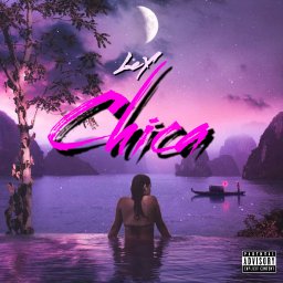 uploaded_audio image