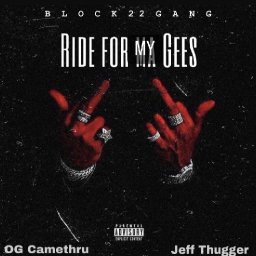 uploaded_audio image