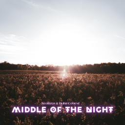 Middle of the night (Neoliizer & Duha Coment Guitar)