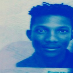 uploaded_audio image