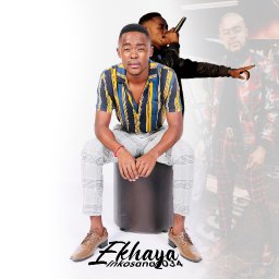 uploaded_audio image