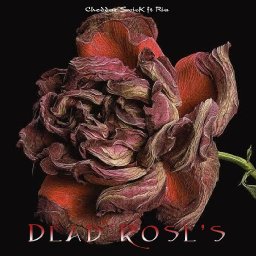 Dead Rose's