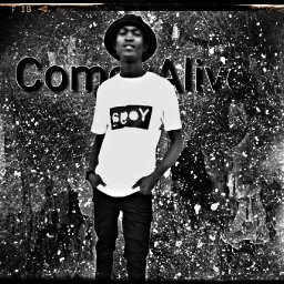 uploaded_audio image