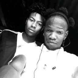 uploaded_audio image