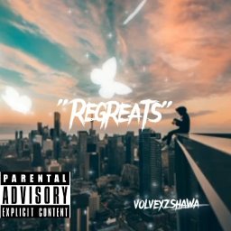 uploaded_audio image