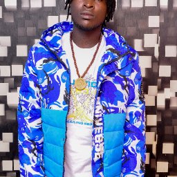 uploaded_audio image