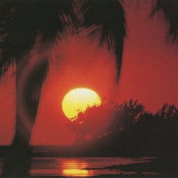 uploaded_audio image