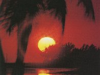 P u r p l e - H e a r t s 