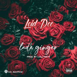 uploaded_audio image