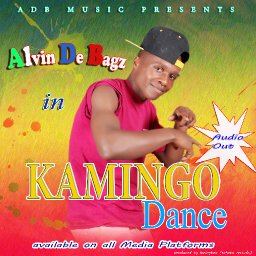Kamingo dance by Alvin de bagz