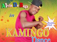 Kamingo dance by Alvin de bagz