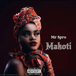 Mr Spro -Makoti