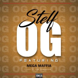 uploaded_audio image