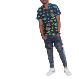 uploaded_audio image