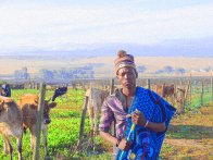 Intliziyo_ft_Lilkiller 