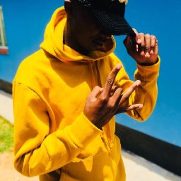 uploaded_audio image