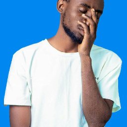 uploaded_audio image