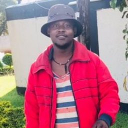 uploaded_audio image