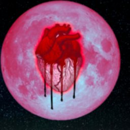 uploaded_audio image