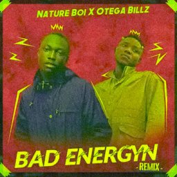 uploaded_audio image