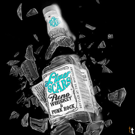 Liver Scars - Track 10