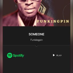 uploaded_audio image