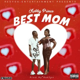 uploaded_audio image