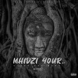 uploaded_audio image